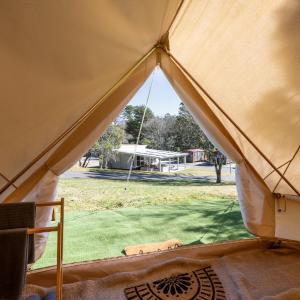 Powered Tent