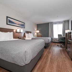 Double Room with Two Double Beds
