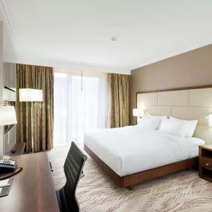 King Room with Terrace