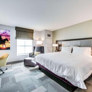 King Room - Non-Smoking