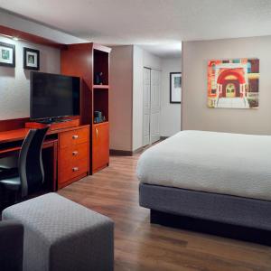 One-Bedroom King Suite with Roll-In Shower, Transfer Shower and Sofa Bed - Mobility Access