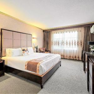 Deluxe Hotel Room with One King Bed