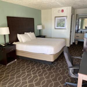 King Room - Non-Smoking