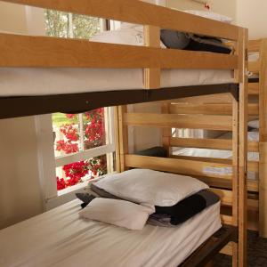 Bed in Women's 4-Bed Dorm