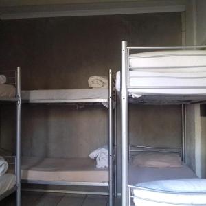 Bed in 10-Bed Mixed Dormitory Room