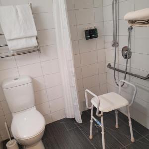 Superior King Accessible Room