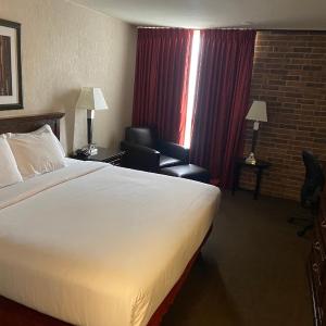 Single Room - Disability Access