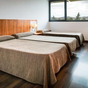 Triple Room (2 Adults + 1 Child)