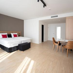 BAB extra extra large Double Room with Kitchenette