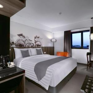 Superior Double or Twin Room with Pool View