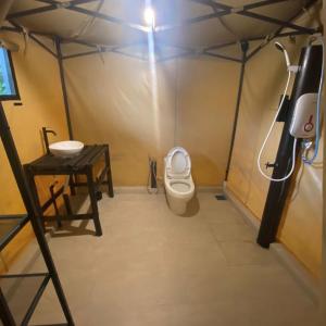 4-Bed Mixed Dormitory Room