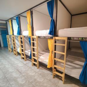 Bed in 10-Bed Mixed Dormitory Room