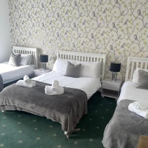 Basic Triple Room with Shared Bathroom