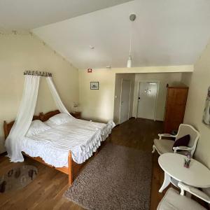 King Room with Roll-In Shower - Disability Access