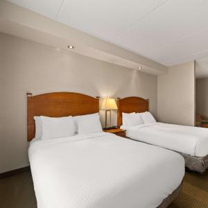 Quadruple Suite with Kitchenette - Non-Smoking
