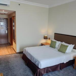 Superior Double or Twin Room with City View