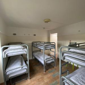 Bed in 6-Bed Mixed Dormitory Room