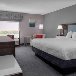 King Room with King Bed - Non-Smoking