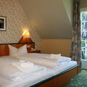 Double Room with Balcony or Terrace