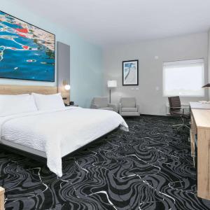 King Room with Roll-in Shower - Mobility Access/Non-Smoking