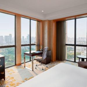 Guest room, 1 King, City view