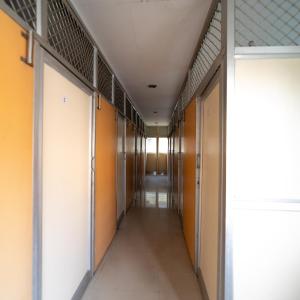Bed in Male Dormitory Room