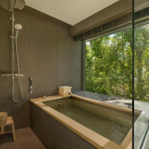Deluxe Twin Room with Garden View