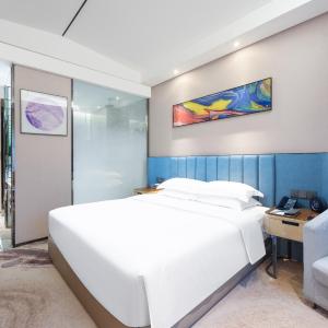 Business King Room with City View
