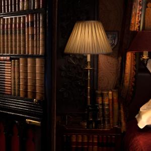 Deluxe Suite - Library