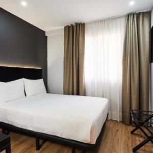Basic Single Room