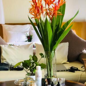 Zen Bungalow 1 bedroom - All Spa treatment and daily Onsen
