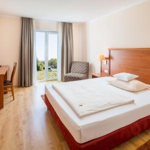 Comfort Single Room