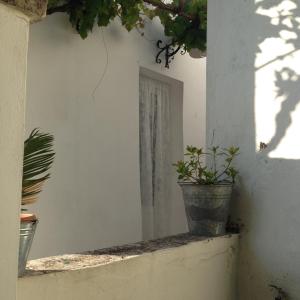Double Room with Pool View