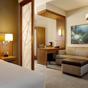 One-Bedroom King Suite with Sofa Bed