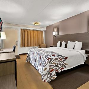 Superior King Room Disability Access Roll-In Shower Smoke Free