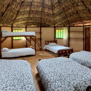 Bed in 6-Bed Dormitory Room