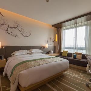 One-Bedroom King Suite