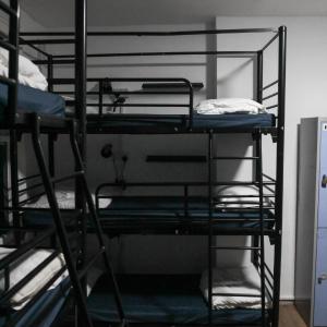 bed in 9-bed Mixed Dormitory