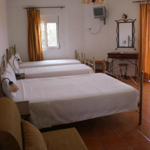 Studio (4 Adults)