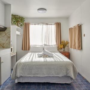 Budget Cabin No Ensuite (Park Amenities)
