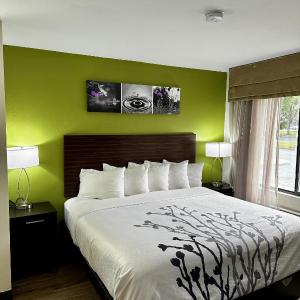 King Room - Non Smoking