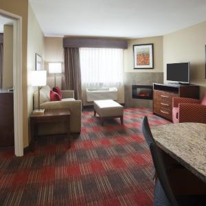 Deluxe One-Bedroom King Suite with Sofa Bed