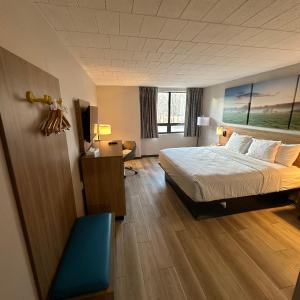 King Room - Non-Smoking