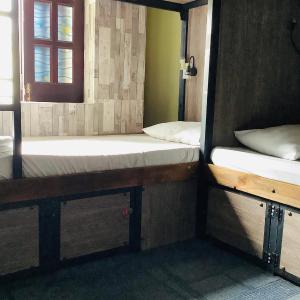 Bunk Bed in Mixed Dormitory Room