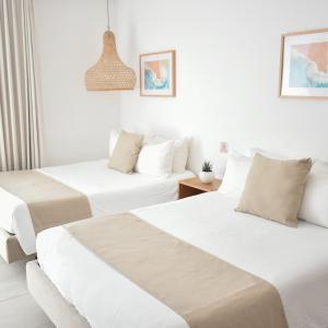 Standard Double Suite