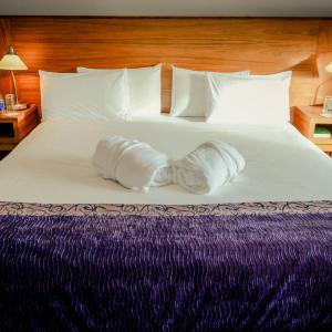 Double room single occupancy