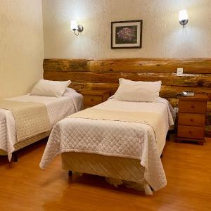 Superior Suite (4 Adults)