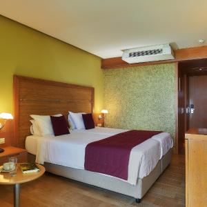 Twin Room Mountain view