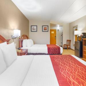 Standard Double Room with Two Double Beds - Non-Smoking