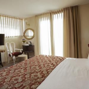 Deluxe Room with Galata Tower View 